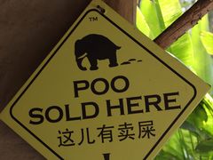 -大象粑粑造纸公园