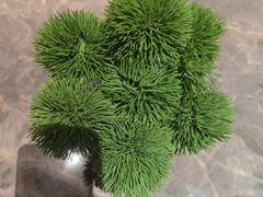-漫·汤泉