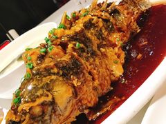 -金春禧(世茂国际广场店)