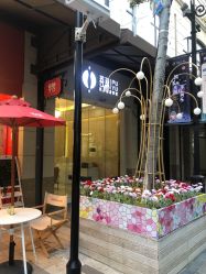 -菩羽·专业美胸·连锁养护中心