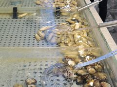 水产区-圣罗巴海鲜自助(黑金店)