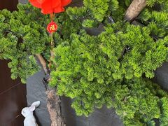 -俏东方·海味水饺·青岛菜(崂山店)