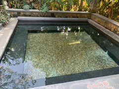 -厦门日月谷温泉渡假村