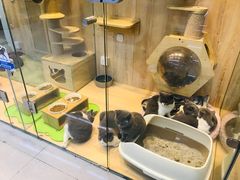 -米卢宠物公园(广华居店)
