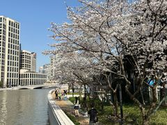 -北外滩滨江绿地