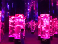 -成都浩海立方海洋公园