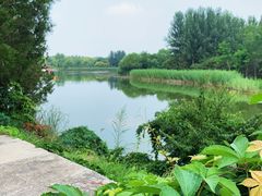 -大兴滨河森林公园