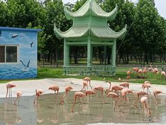 -秦皇岛野生动物园