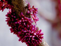 -大觉寺-停车场