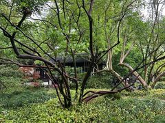 -上海醉白池公园