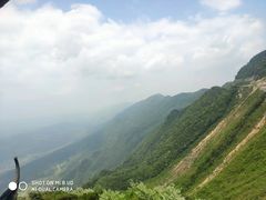 -武陵山森林公园