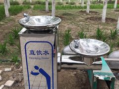 -大兴滨河森林公园