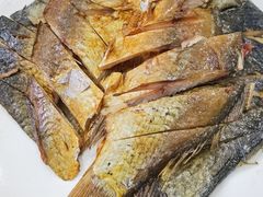 -龙小海荆沙鸽子店(瑞安街店)