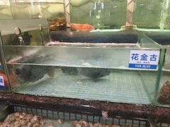 -新海利海鲜城·41年珠海老字号(夏湾店)