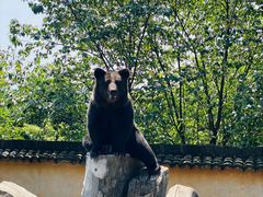 -上方山森林动物世界