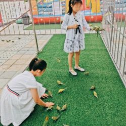 -萌宠亲子动物乐园(槐房万达店)