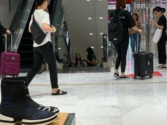 -乐天免税店(明洞店)