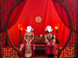 点击看大图 -金夫人婚纱摄影(总店)