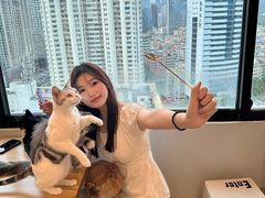 -有喵·猫咖·狗咖·40+猫狗有小奶狗(岗厦店)