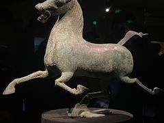-甘肃省博物馆