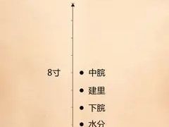 -裕和堂中医推拿艾灸(太古汇臻品店)