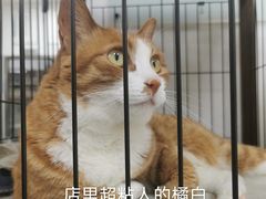 -四月宠物医院·猫专科·心脏专科·内科(转塘店)