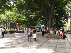 景点-晓港公园