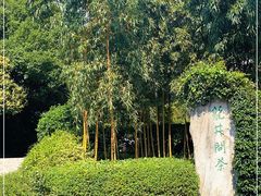 -十八棵（老龙井）御茶园(老龙井店)