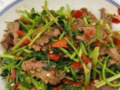 香菜炒牛肉-壹盏灯(蚂蚁工房店)