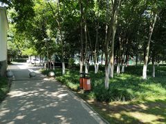 -后襄河公园