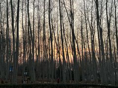 -仁和公园(顺义区)