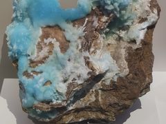 -重庆自然博物馆(新馆)