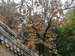 -潭柘寺景区