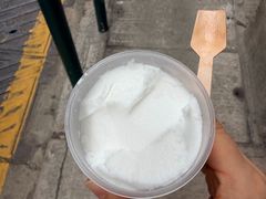 -洪馨椰子