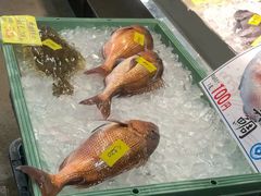 -海鮮寿司とれとれ市場