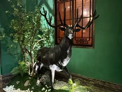 -新白鹿餐厅(银泰西湖文化广场店)
