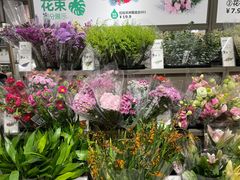 -鹿岛生活(熙地港店)