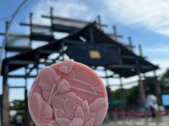 -荷塘月色湿地公园·向阳花洲