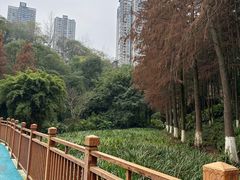 -重庆彩云湖湿地公园