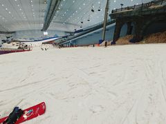 -哈尔滨热雪奇迹