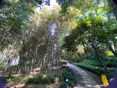-兰亭风景区