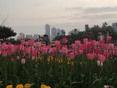 -厦门园林博览苑