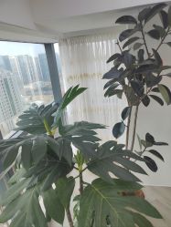 -HEYAN荷妍专业脱毛连锁机构