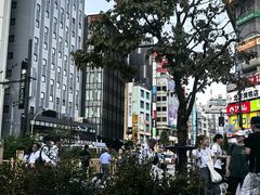 -秋叶原电器街