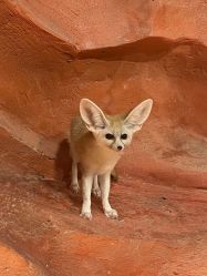 -Zoolung Zoolung动物主题公园(海信广场店)