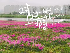 -洋湖国家湿地公园