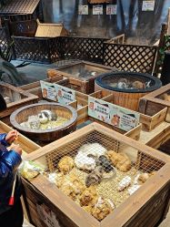 -酷嗒动物文化乐园(cutezoo西溪乐天城店)