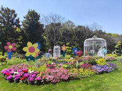 -上海共青森林公园