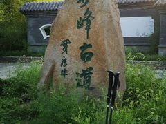 -阳台山自然风景区