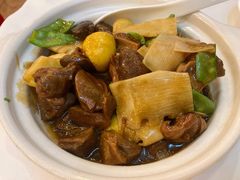 栗子鸭胗煲-九花山烤鸭店